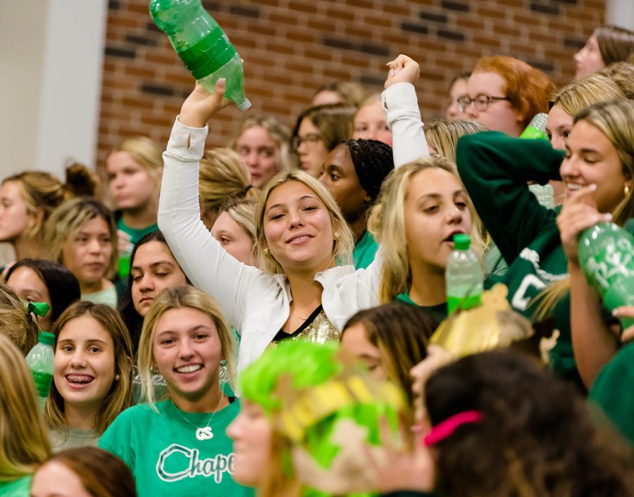 10 Necessities a Chipmunk MUST Have for a Successful Pep Rally!